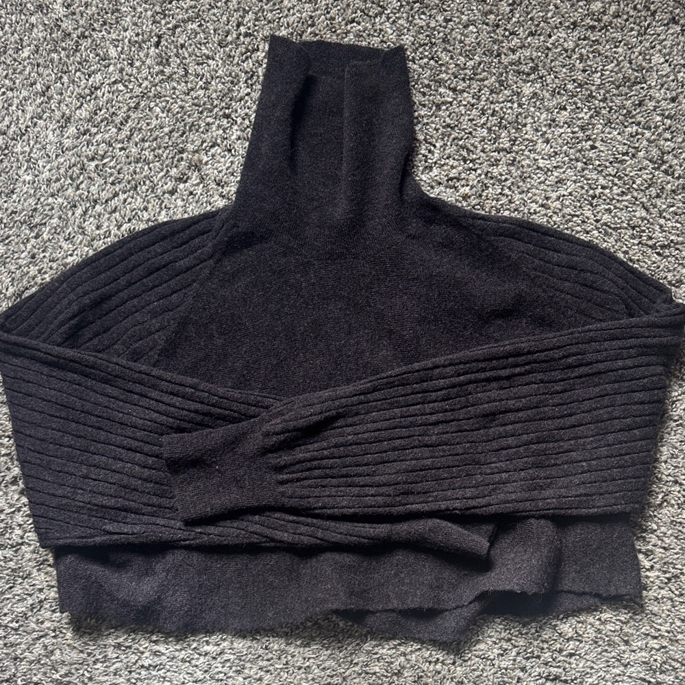 Allsaints Cropped Turtleneck Sweater